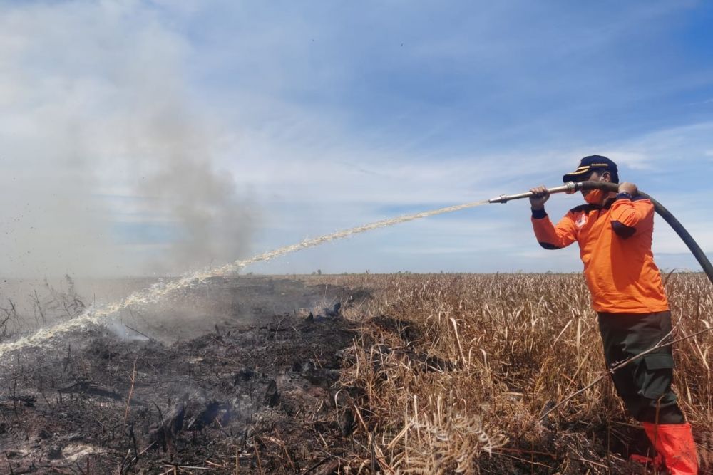 Puluhan Hektar Lahan Terbakar, BPBD Riau Dorong Percepatan Status Siaga